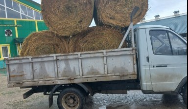 Объявление от Мейрам: «Перевозки грузов на Газели, борт Самарская область» 1 фото