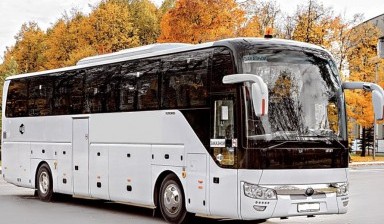 Аренда автобуса, пассажирские перевозки