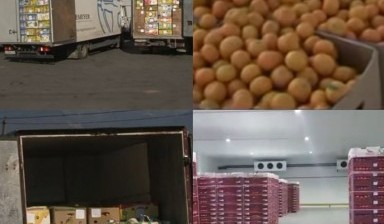 Перевозок грузов,перевозка овощей,фруктов в другой