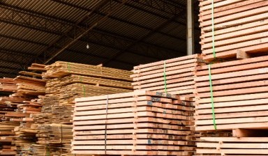 Объявление от Pinewood: «Lumber in Fujairah» 1 photos