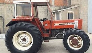 Объявление от Bart van Haaster: «FIAT 80-66 wheel tractor» 1 photos