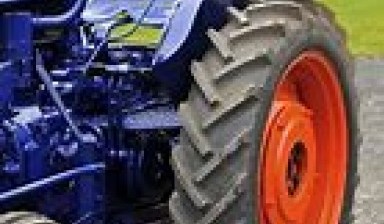 Объявление от Vitali Lenda: «FORDSON Blauwe reiger wheel tractor» 1 photos