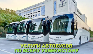 Услуги автобусов, Автобусы, Туристические Автобусы