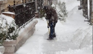 Объявление от Золушка: «Услуги вывоза и уборки снега» 1 фото