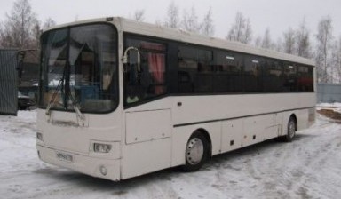 Объявление от All Bus NN: «Автобус в аренду от 35 до 55 мест» 1 фото