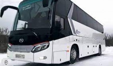 Объявление от Альбатрос: «Аренда лицензированных автобусов» 1 фото