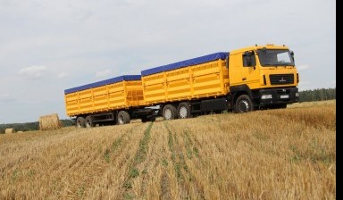 Самосвал-зерновоз с прицепом Новосибирск