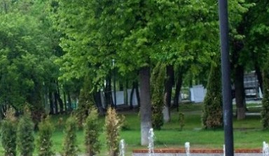 Объявление от ОЗЕЛЕНЕНИЕ: «Озеленение территории в Серпухове» 1 фото