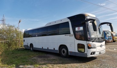 Аренда пассажирских автобусов от 12 до 44 мест