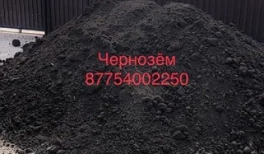 Объявление от Nariman: «Чернозем» 1 фото