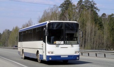 Объявление от Автобус 1: «Аренда транспорта для перевозки детей» 1 фото