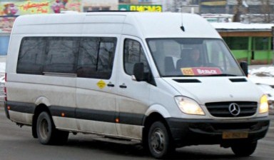 Объявление от AltayBus.ru: «Заказ автобуса для школьников» 1 фото