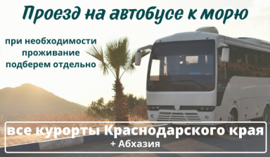 Объявление от ПАВЛИН: «Проезд на автобусе из Владимира» 1 фото