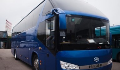 Объявление от Аренда автобуса: «Автобусы в Запорожье, дешево» 1 фото