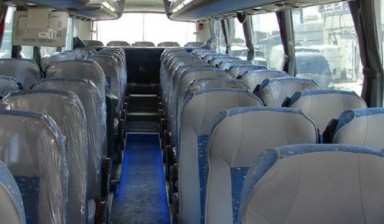 Объявление от Перевозка детей: «Автобусы для перевозки детей» 1 фото