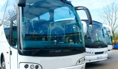 Объявление от Камчатка: «Автобусы в аренду с быстрой подачей» 1 фото