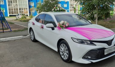 Объявление от Свадебный кортеж Den: «Toyota Camry 70 на свадьбу» 1 фото