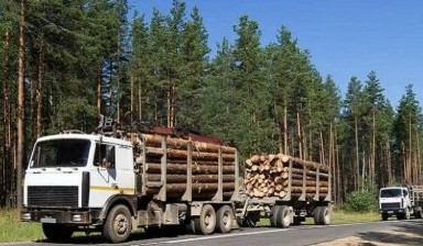 Объявление от Олег: «Услуга лесовоза МАЗ с прицепом и манипулятором» 1 фото