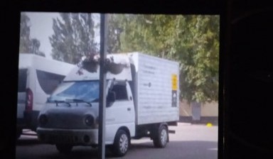 Перевозка грузов до 1 тонны от Туманбаев Мухаммед:  1 фото