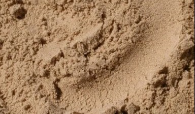 Объявление от Андрей: «Речной песок, щебень, глина и многое другое» 1 фото