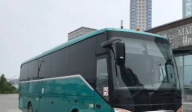 Объявление от BUS: «Перевозка детей, недорого» 1 фото