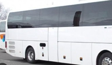 Объявление от Автобус: «Автобусы для международных перевозок» 1 фото