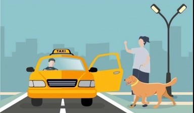 Объявление от ТРАНСФЕР РФ.: «Такси перевозка животных» 1 фото