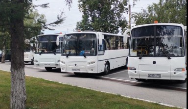 Объявление от Кондратьев Денис Сергеевич: «Пассажирские перевозки. Автобусы от 8 до 79 мест.» 3 фото