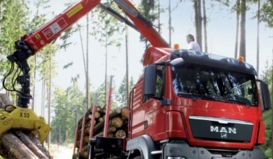 Объявление от Перевозка лесов: «Перевозка лесов, дешево и быстро» 1 фото