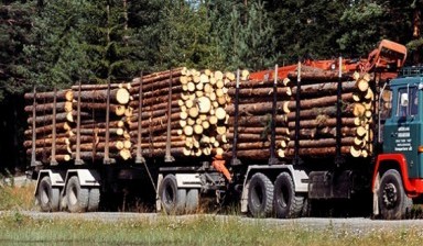 Объявление от Грузоперевозка: «Недорогие грузоперевозки лесов, быстрая подача» 1 фото