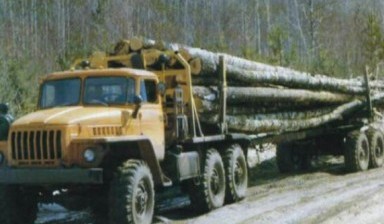 Объявление от Перевозка лесов: «Аренда лесовоза, дешево» 1 фото