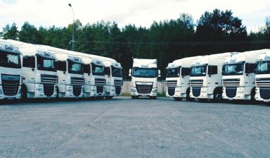 Объявление от Елена Альбертовна Полутова: «Международные грузовые перевозки» 1 фото
