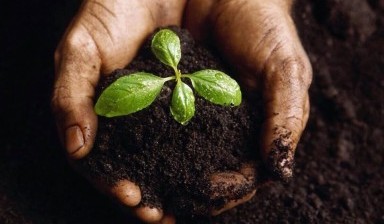 Объявление от ООО «АЛГОРИТМ»: «Доставка почвогрунта и чернозема» 1 фото