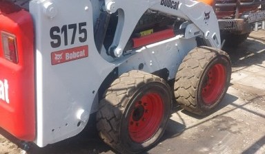 Объявление от Степан: «Аренда bobcat s175 мини- погрузчика» 4 фото