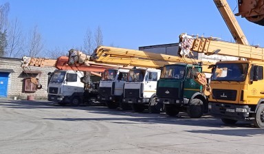 Объявление от Александр: «Автокраны 15, 25, 40, 60 тонн» 1 фото