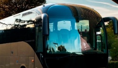 Объявление от Дмитрий: «Международные перевозки на автобусе» 1 фото