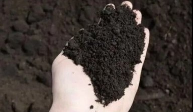 Объявление от Первая Угольная Компания: «Чернозем почвогрунты» 1 фото