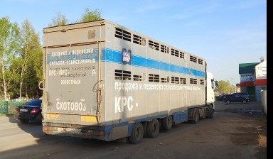 Объявление от Андрей: «Грузоперевозки, доставка животных.» 2 фото