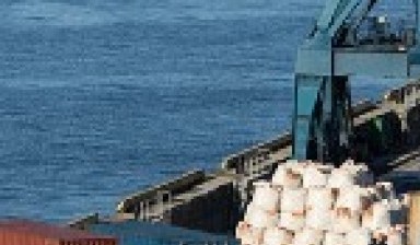 Объявление от Амурское пароходство: «Аренда грузовой баржи, недорого» 1 фото