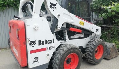 Объявление от Николай Александрович: «Аренда Bobcat  мини- погрузчик bobcat» 1 фото