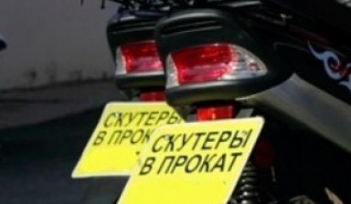 Объявление от Игорь: «Аренда скутеров по приемлемой цене» 1 фото