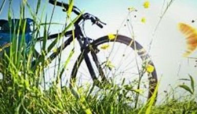 Объявление от Николай: «Велосипед в аренду по доступной цене» 1 фото