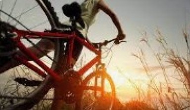 Объявление от Стас: «Велосипед в аренду по низким ценам» 1 фото