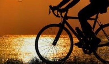 Объявление от Антон: «Быстрая аренда велосипедов по низким ценам» 1 фото