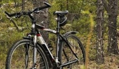 Объявление от Эльбрус: «Велосипед на прокат, быстрая подача» 1 фото