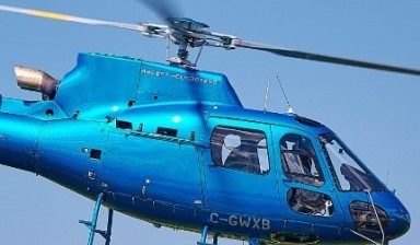 Объявление от SkyMaster: «Прогулки на вертолете по приемлемой цене» 1 фото