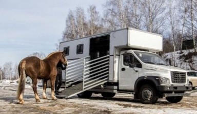 Объявление от ИП Скворцов А.А: «Перевозка лошадей и КРС, недорого» 1 фото