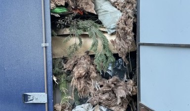 Объявление от Белков Роман Игоревич: «Вывоз мусора эконом, есть грузчики» 4 фото