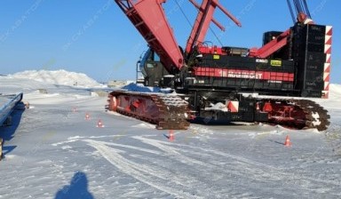 Объявление от Ямал Стивидоры: «Аренда гусеничного крана Kobelco CKE2500-2» 1 фото