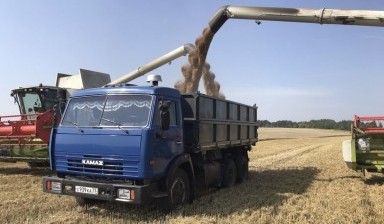 Объявление от Сабиров Эльвир Рашитович: «Грузоперевозки Камаз сельхозник/ зерновоз 20 кубов» 4 фото